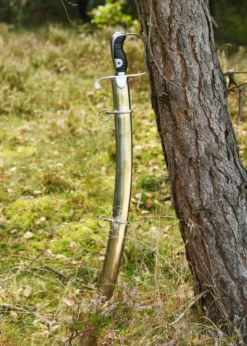 Leichter Kavalleriesäbel von 1796 mit Scheide