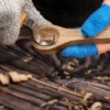 Löffelrohlingsset (Kirsche, Linde, Maulbeere, Walnuss), Beavercraft