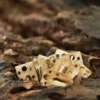 Messingschuppen für Lamellenrüstung, 13 mm x 22 mm (25 Stück)