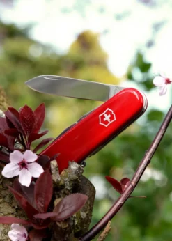 Offiziersmesser, Spartan, rot