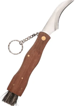 Pilz-Taschenmesser mit Bürste