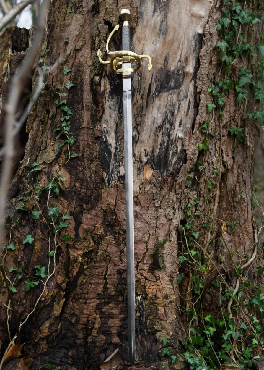 Rapier, Renaissance-Degen, 17. Jahrhundert