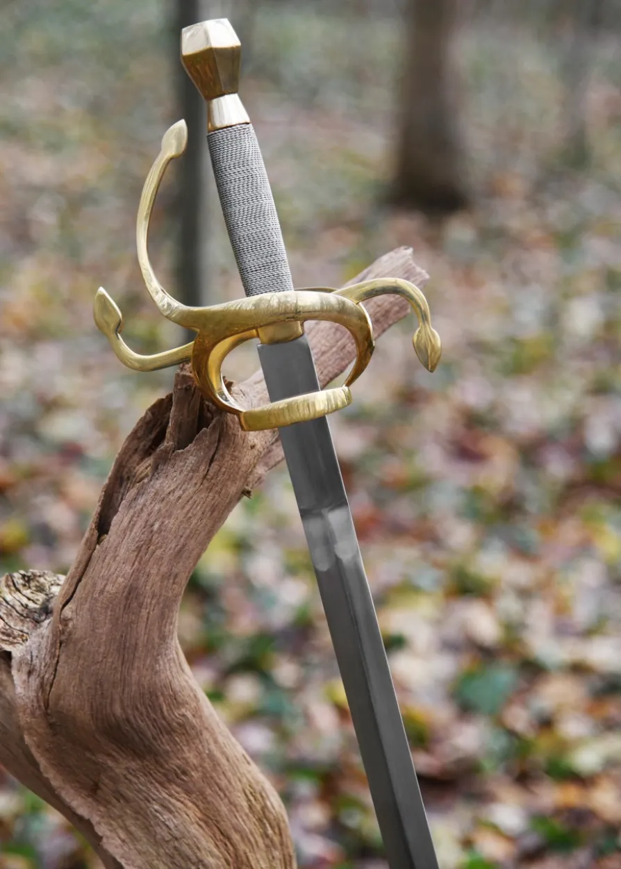 Rapier, Renaissance-Degen, 17. Jahrhundert