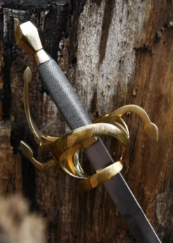 Rapier, Renaissance-Degen, 17. Jahrhundert