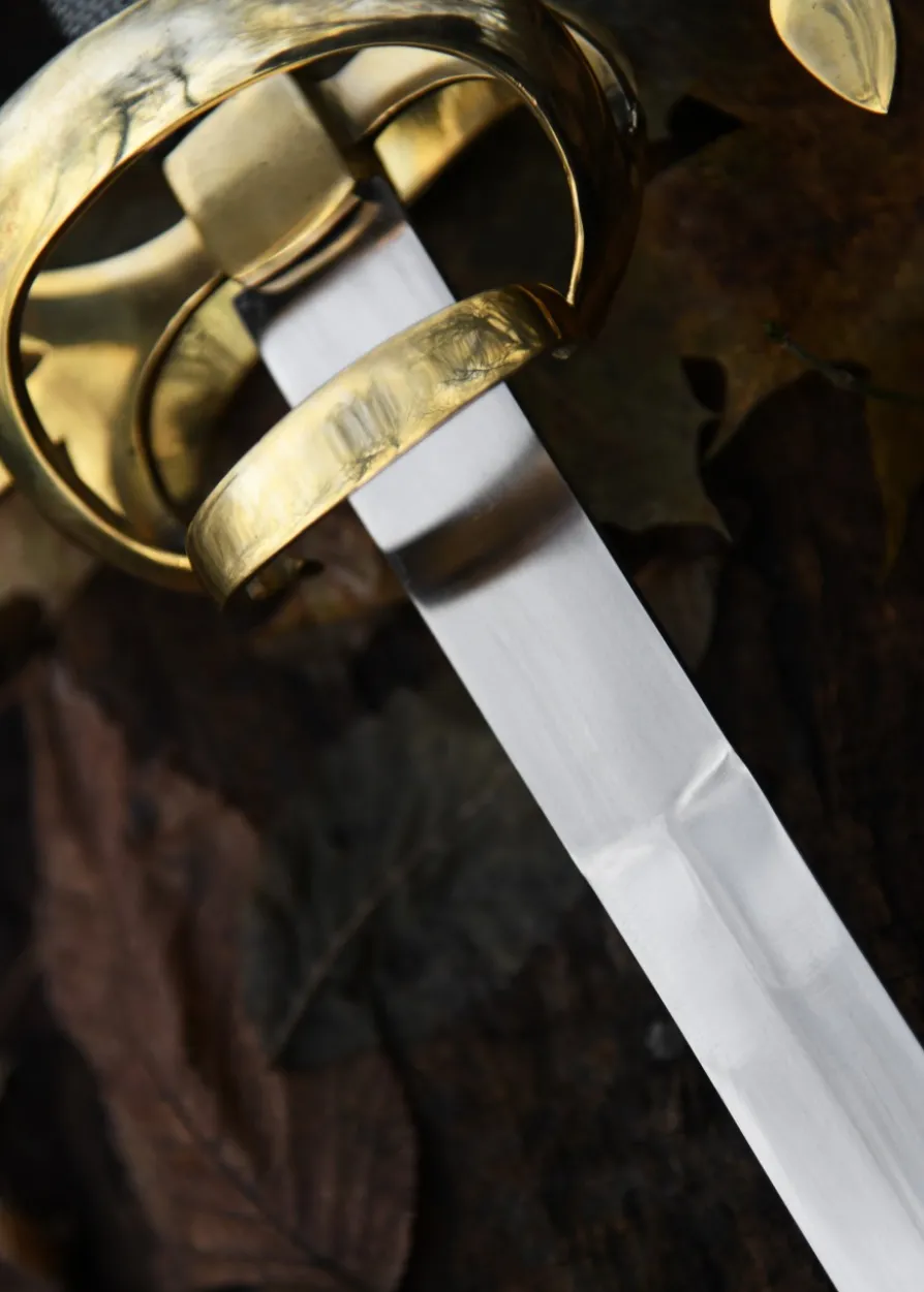 Rapier, Renaissance-Degen, 17. Jahrhundert