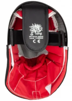 Red Dragon Fechtmaske, 350N