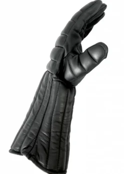 Red Dragon Rapier Handschuhe