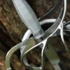 Renaissance Rapier mit geschwungenem Parier mit Lederscheide
