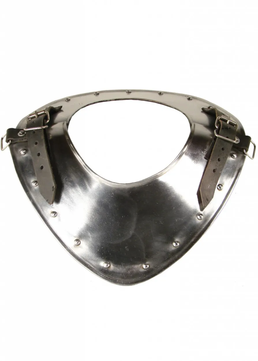 Ringkragen Warrior aus Stahl