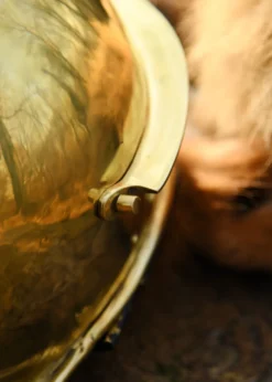 Römerhelm Coolus -D- Haltern, Messing