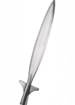 Saufeder-Spitze, ca. 50 cm