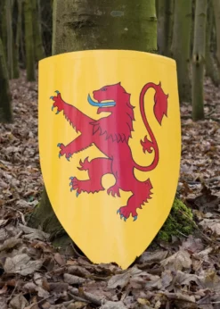Schild von Robert Bruce, Holz