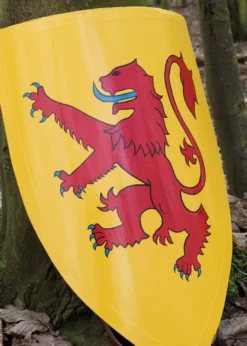 Schild von Robert Bruce, Holz