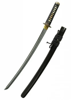 Shinto Wakizashi