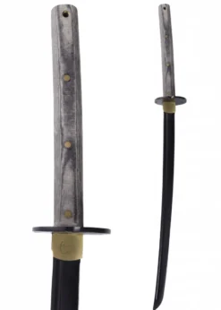 Tactana Sword, Condor