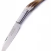 Taschenmesser mit Hirschhorngriff