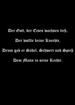 T-Shirt Schwertkämpfer