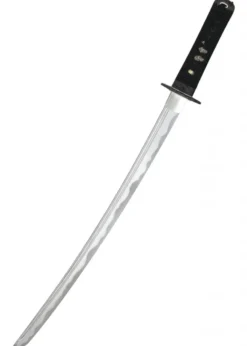 Tsuru Iaito Wakizashi