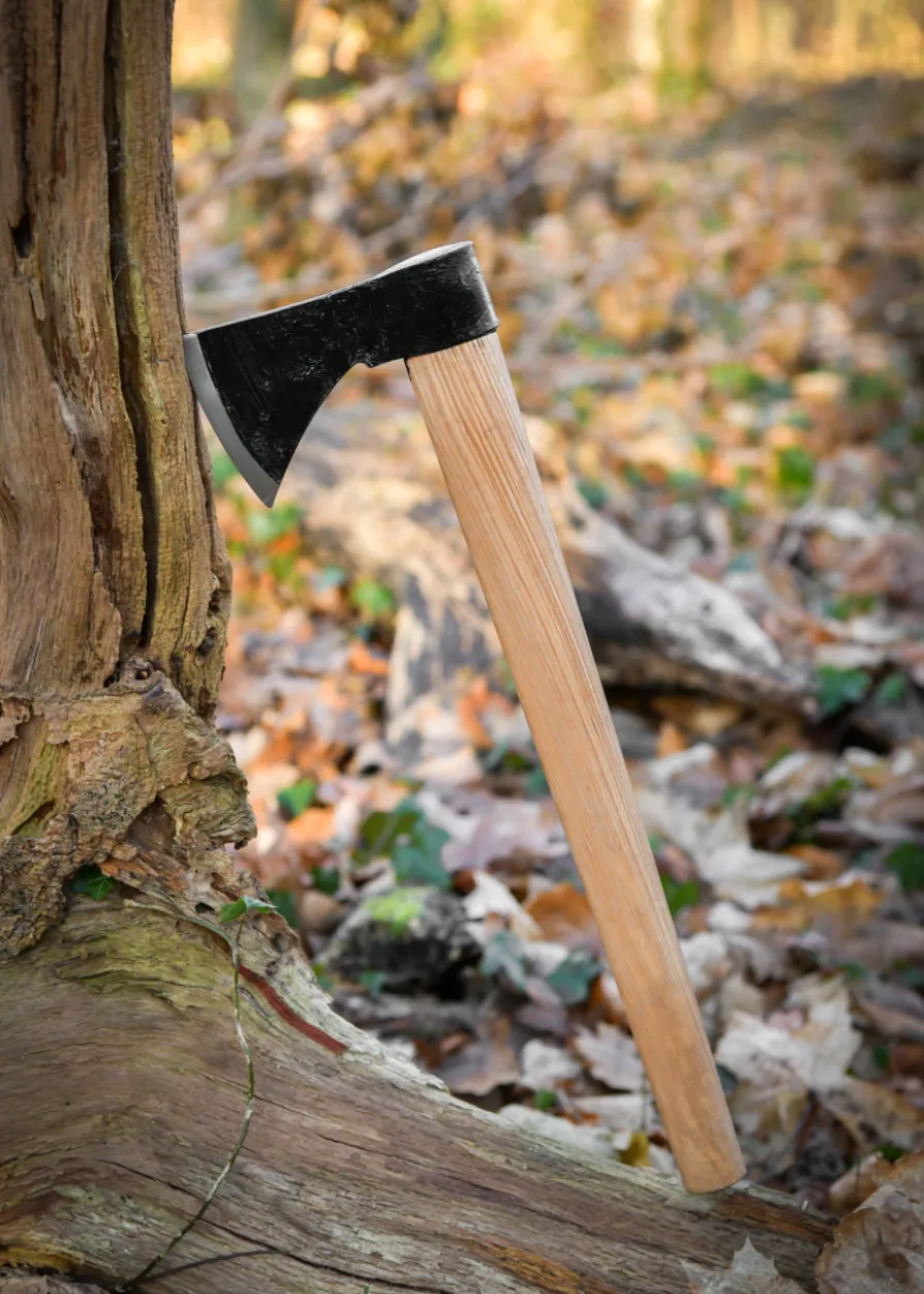 Wikingeraxt, 9. Jahrhundert